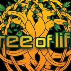 aLive @ 'Tree Of Life Festival 2017'