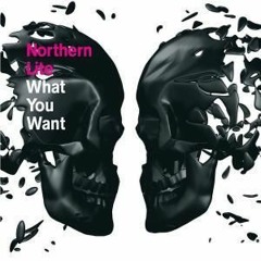 Northern Lite vs. Chris Weigand - What you want (RMX)