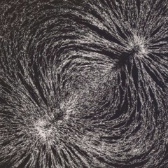 MUZEUM VISITOR - Lopos