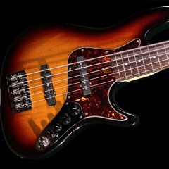 RS5 Alder/Rosewood slap  by George Panos