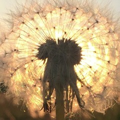 Fly so high solo. . .