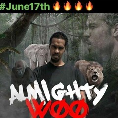 Almighty Woo Mix (Warning Shot/Who Am I)