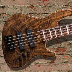 Mike Herscher  RS5-24 Ash/Morado fingerboard dual coil pickups