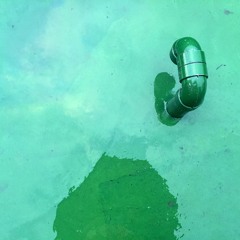 사인칭 (original)