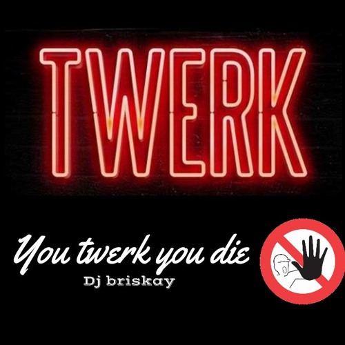 DJ BRISKAY -  YOU TWERK YOU DIE !