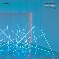 Shane Robinson -  Subconscious (6884s Whos Afraid of the Wob Remix) | ICONYC 238W122