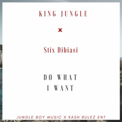 KingJungle x Stix Dibiasi - DO What I Want