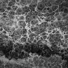 Smooth Sailing (INST_R_MNTL)