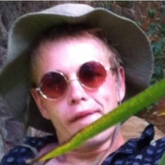 FEEZY WONDA ALI WHALES SPOER ROEB - SCHÖNERARSCHAUFFAHRRAD