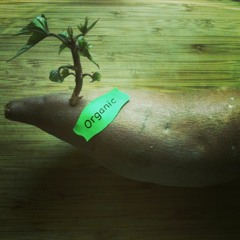 Doctors Orders (ReNix) Dusty Nix, iD the Poet & Matlock