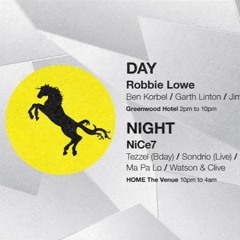 Robbie Lowe live at S.A.S.H (day) June 2017