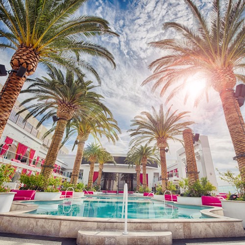 SUMMER VIBES [CHIQUI]