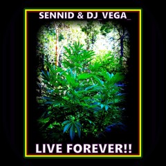 SENNID& DJ_VEGA_ -LIVE FOREVER!!