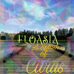 A Splash Of Citrus