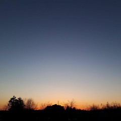 Synesthesia - Adequate