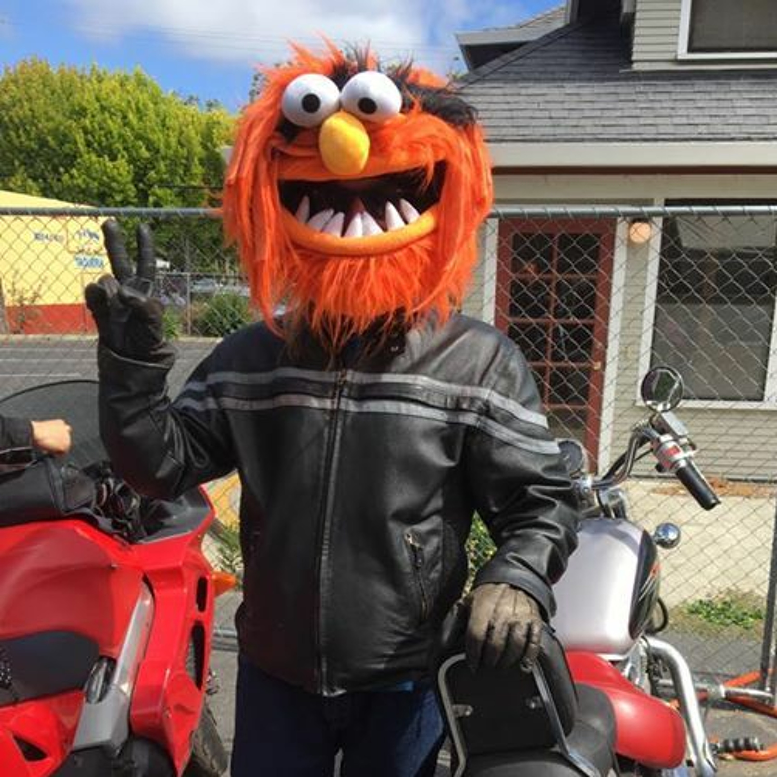 Motorcycles & Misfits