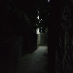 Johann -  Blood Flow {unmastered}