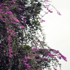 Jaz - Kasmaran (cover) by Isty Janur Bian