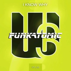 Funkatomic - I Know Why (original Mix)