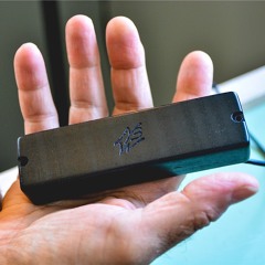 David Beasley NYBW Custom Soap-bar pickup bridge position Black Limba/rosewood fingerboard