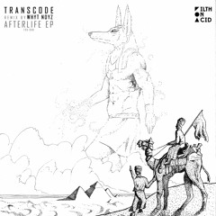 Transcode - Afterlife (Whyt Noyz Remix)