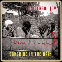 Sunshine In The  Rain Sample