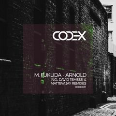 Codex011: B1 M. Fukuda - Arnold (David Temessi Remix)VINYL