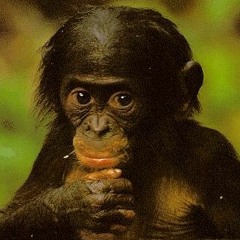 bonobo - silver (brak oczu remix)