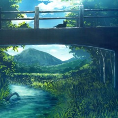 Reflection