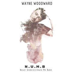 Waye Woodward N.U.M.B | Album Preview