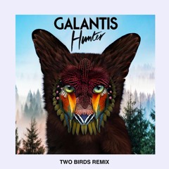 Galantis - Hunter (TWO BIRDS Remix)