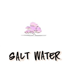 Salt Water (ft. Ethos)