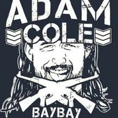 ADAM COLE - NJPW BULLET CLUB THEME (2016 -2017)