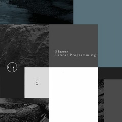 Fixeer - Linear - Linear Programming - Aine011