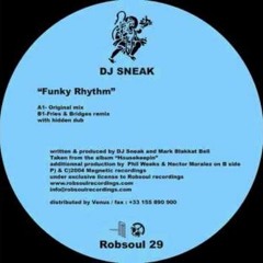 DJ Sneak - Funky Rhythm (Remix)