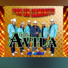 Los Avila  Merequetengue Por Un Caminito  2017  YouTube-MP3.mp3