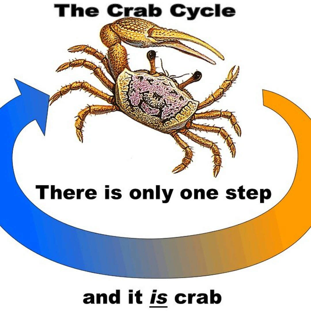Stream the crab cycle there is only one step it is crab by ...