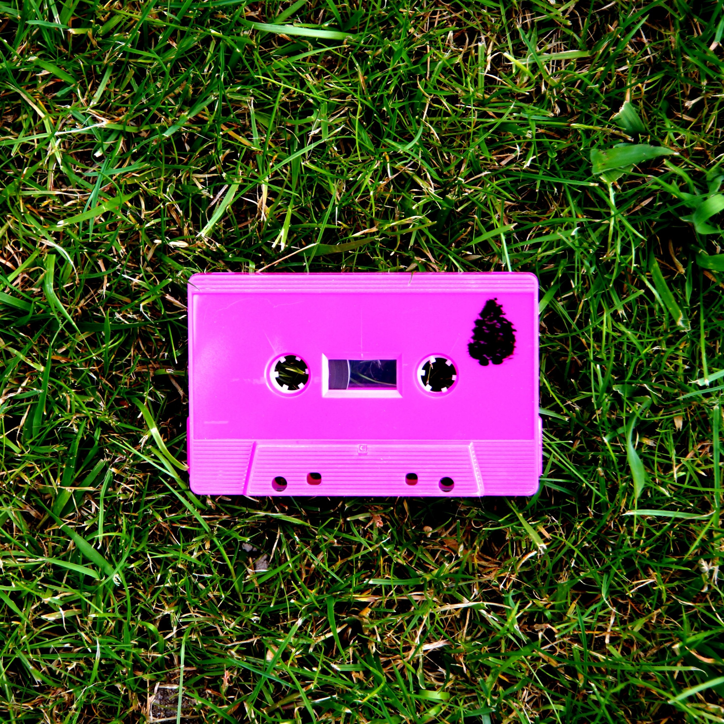 Fir Cone Children - I Care For You episode artwork