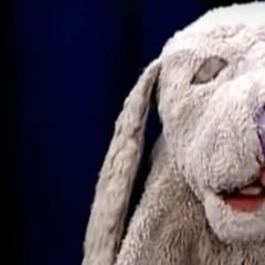 Like A Martyr (Warren Zevon Cover)