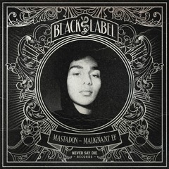 MARAUDA - Terminal
