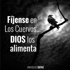 Negro Como El Cuervo