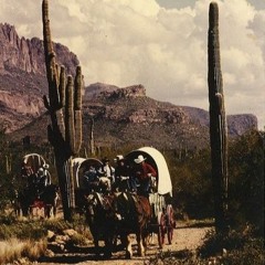 Cowboy Caravan - Take my Cactus