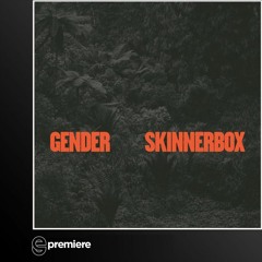 Premiere: Skinnerbox - Gender (Ellen Allien Remix)(Turbo Recordings)