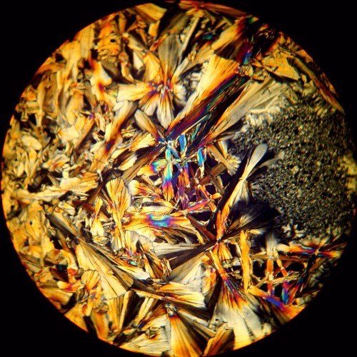 Nirvana - Something in the Way (Nothing In The Way)