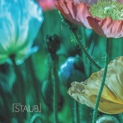 STAUB 01-07-2017 @about blank, Berlin
