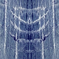 PRODUCT OF ¢OMMUNITY ☣ ICEBOUND FUTURE REMAKE ☣