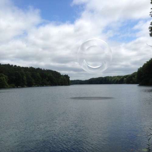 gd17 Snail+ Bird singing along with it