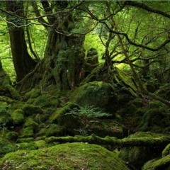 Machi Machi (Live at Rinquia)