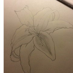 Animosity Prod. By Magestick Records