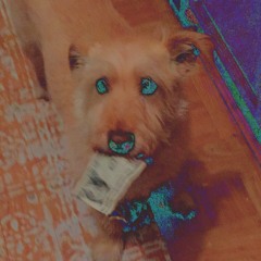 Hu$tle